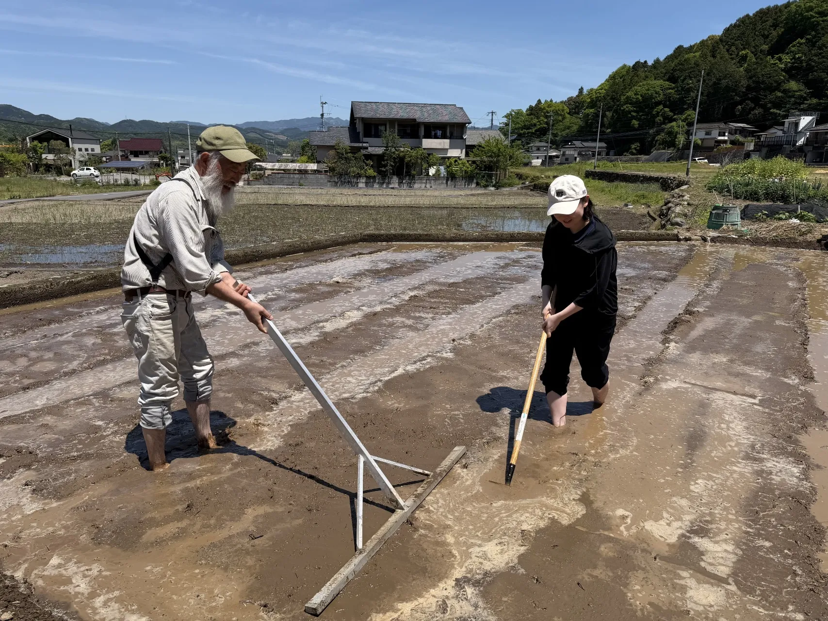 田植えの写真